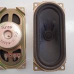 Tv Hoparlör 16 Ohm 5W 12.5 X 5.5 Cm 1 Adet