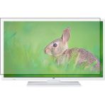 Tv Koruyan Seg 24SEH5520W Uyumlu TV Ekran Koruyucu