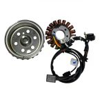 Tvs Raider 125 Statör Volant Seti N6060190