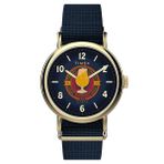 TW2Y76100 Harry Potter x Timex Weekender Butterbeer Kol Saati