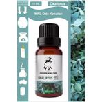 TYC00803989142 Okaliptus Kokusu Buhurdanlık Yağı Aromaterapi Yağ Difizör Esansı Buhur Yağ Oda Kokusu 10Ml (Mrl)