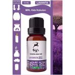 TYC00803990702 Lavanta Kokusu Buhurdanlık Yağı Aromaterapi Yağ Difizör Esansı Buhur Yağ Oda Kokusu 10Ml (Mrl)