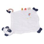 TYCIONG Diş kaşıyıcılı panda battaniyesi, yumuşak üniseks bebek sevgisi, yenidoğan Essentials erkek ve çocukları için, bebek kayıt araması, duş hediyeleri