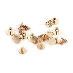 Tyenaza 10 takım pirinç düğme, 5/6,5/8 mm sert pirinç düğme çivi vida çivi vidalı deri perçin kemer DIY altın (6,5 mm)