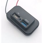 Type-C USB 2 Portlu Araç Şarj Soketi Adaptörü 12V-24V - Çok Renkli