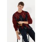 U.S. Polo Assn. 50256191-VR223 Vişne Triko Erkek Kazak