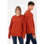 U.S. Polo Assn. Erkek Bisiklet Yaka Kiremit Basic Şardonlu Sweatshirt 50295148-vr031