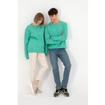 U.S. Polo Assn. Erkek Bisiklet Yaka Mint Basic Şardonlu Sweatshirt 50295148-vr152