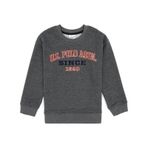 U.S. Polo Assn. Erkek Çocuk Antrasit Bisiklet Yaka Sweatshirt 50313843-VR081