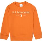 U.S. Polo Assn. Erkek Çocuk Bakır Bisiklet Yaka Sweatshirt 50313900-VR182 - 10 - 11 Yaş