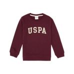 U.S. Polo Assn. Erkek Çocuk Bordo Basic Bisiklet Yaka Sweatshirt 50313830-VR177