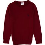U.S. Polo Assn. Erkek Çocuk Bordo Bisiklet Yaka Basic Kazak 50315586-VR014 - 5 - 6 Yaş