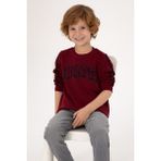 U.S. Polo Assn. Erkek Çocuk Bordo Bisiklet Yaka Sweatshirt 50316537-VR014 - 10 - 11 Yaş