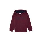 U.S. Polo Assn. Erkek Çocuk Bordo Örme Hırka 50313844-VR177