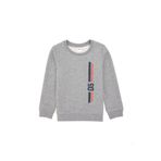 U.S. Polo Assn. Erkek Çocuk Gri Melanj Basic Bisiklet Yaka Sweatshirt 50293546-vr086