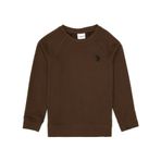 U.S. Polo Assn. Erkek Çocuk Kahverengi Basic Bisiklet Yaka Sweatshirt 50313832-VR029