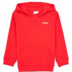 U.S. Polo Assn. Erkek Çocuk Kırmızı Basic Kapüşonlu Şardonlu Sweatshirt 50313808-VR030 - 4 - 5 Yaş