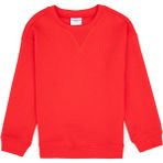 U.S. Polo Assn. Erkek Çocuk Kırmızı Bisiklet Yaka Basic Sweatshirt 50313829-VR030 - 3 - 4 Yaş