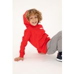 U.S. Polo Assn. Erkek Çocuk Kırmızı Kapüşonlu Sweatshirt 50293566-vr030