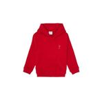 U.S. Polo Assn. Erkek Çocuk Kırmızı Sweatshirt 50313941-VR171