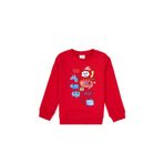 U.S. Polo Assn. Erkek Çocuk Kırmızı Sweatshirt 50316519-VR171