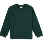 U.S. Polo Assn. Erkek Çocuk Koyu Yeşil Bisiklet Yaka Basic Sweatshirt 50313829-VR079 - 12 - 13 Yaş