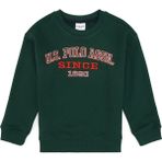 U.S. Polo Assn. Erkek Çocuk Koyu Yeşil Bisiklet Yaka Sweatshirt 50313843-VR079 - 11 - 12 Yaş