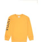 U.S. Polo Assn. Erkek Çocuk Mango Bisiklet Yaka Basic Sweatshirt 50313831-VR244 - 12 - 13 Yaş