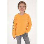 U.S. Polo Assn. Erkek Çocuk Mango Bisiklet Yaka Basic Sweatshirt 50313831-VR244 - 4 - 5 Yaş