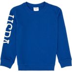 U.S. Polo Assn. Erkek Çocuk Mavi Basic Bisiklet Yaka Sweatshirt 50313831-VR212 - Royal Blue - 5 - 6 Yaş