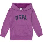 U.S. Polo Assn. Erkek Çocuk Menekşe Basic Kapüşonlu Sweatshirt 50293614-VR037 - 8 - 9 Yaş
