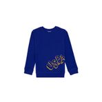 U.S. Polo Assn. Erkek Çocuk Mor Bisiklet Yaka Basic Sweatshirt 50313979-VR038