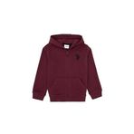 U.S. Polo Assn. Erkek Çocuk Plum Hırka (Örme) 50316706-VR177