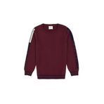 U.S. Polo Assn. Erkek Çocuk Plum Kazak/Triko 50317136-VR177