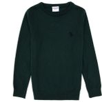 U.S. Polo Assn. Erkek Çocuk Yeşil Bisiklet Yaka Basic Kazak 50315586-VR054 - Yeşil-141162 - 7 - 8 Yaş