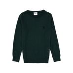 U.S. Polo Assn. Erkek Çocuk Yeşil Bisiklet Yaka Basic Kazak 50315586-VR054