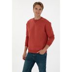 U.S. Polo Assn. Erkek Comfort Fit Bisiklet Yaka Şardonlu Gül Kurusu Basic Sweatshirt 50313757-VR026