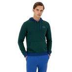 U.S. Polo Assn. Erkek Koyu Yeşil Sweatshirt 50293440-VR079, 2XL