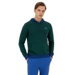 U.S. Polo Assn. Erkek Koyu Yeşil Sweatshirt 50293440-VR079, XL