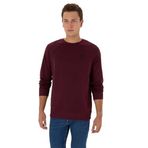 U.S. Polo Assn. Erkek Plum Sweatshirt 50308103-VR177