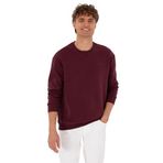 U.S. Polo Assn. Erkek Plum Sweatshirt 50313757-VR177