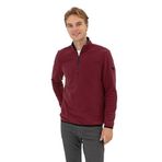 U.S. Polo Assn. Erkek Plum Sweatshirt 50313777-VR177