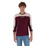 U.S. Polo Assn. Erkek Plum Sweatshirt 50315507-VR177
