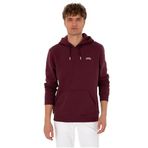 U.S. Polo Assn. Erkek Plum Sweatshirt 50315582-VR177