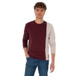 U.S. Polo Assn. Erkek Plum Sweatshirt 50316316-VR177