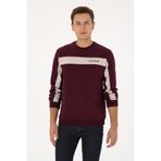 U.s. Polo Assn. Erkek Plum Sweatshirt 50316354-vr177 New Plum
