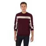 U.S. Polo Assn. Erkek Plum Sweatshirt 50316354-VR177