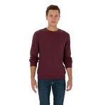 U.S. Polo Assn. Erkek Plum Sweatshirt 50316390-VR177