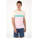 U.S. Polo Assn. Erkek Regular Fit Bisiklet Yaka Açık Pembe Tişört 50306899-vr078