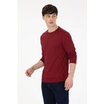 U.S. Polo Assn. Erkek Regular Fit Bisiklet Yaka Bordo Sweatshirt 50290063-VR014